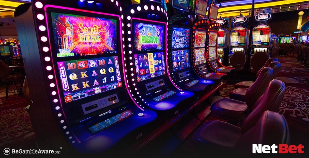 za777|Escolha agora bingo online em reais premiado Ganhe Hoje